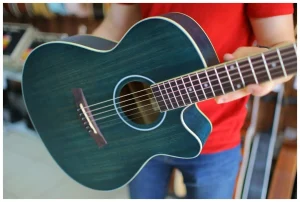 В Guitar Sound — пополнение ассортимента бюджетных инструментов Sevillia и Aria.